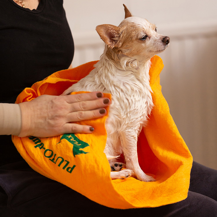 Håndkle til hunden