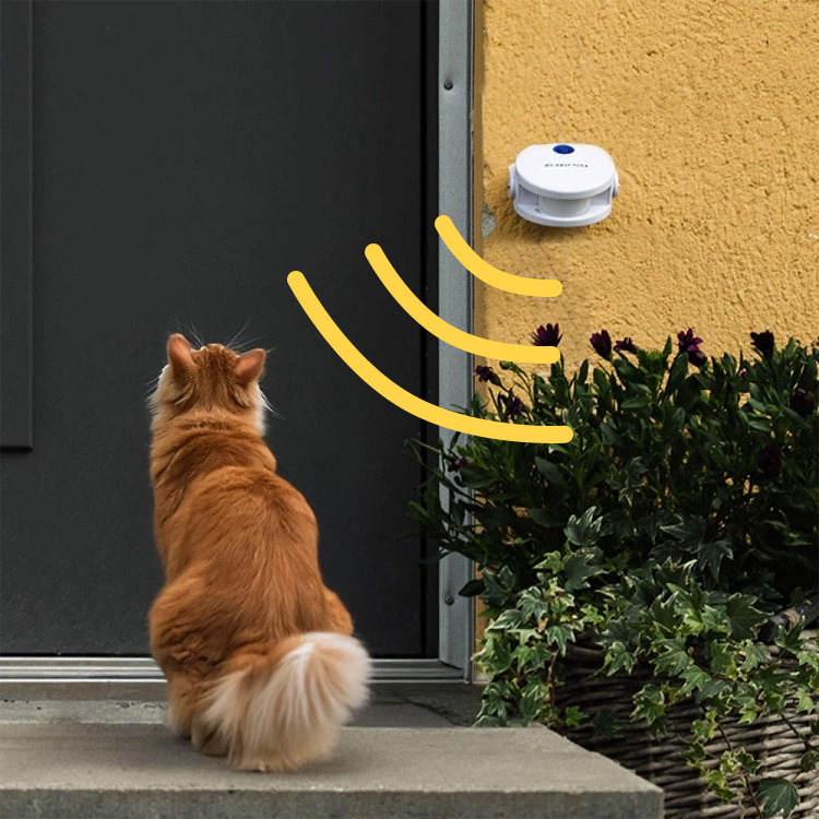 Dørklokke til katten