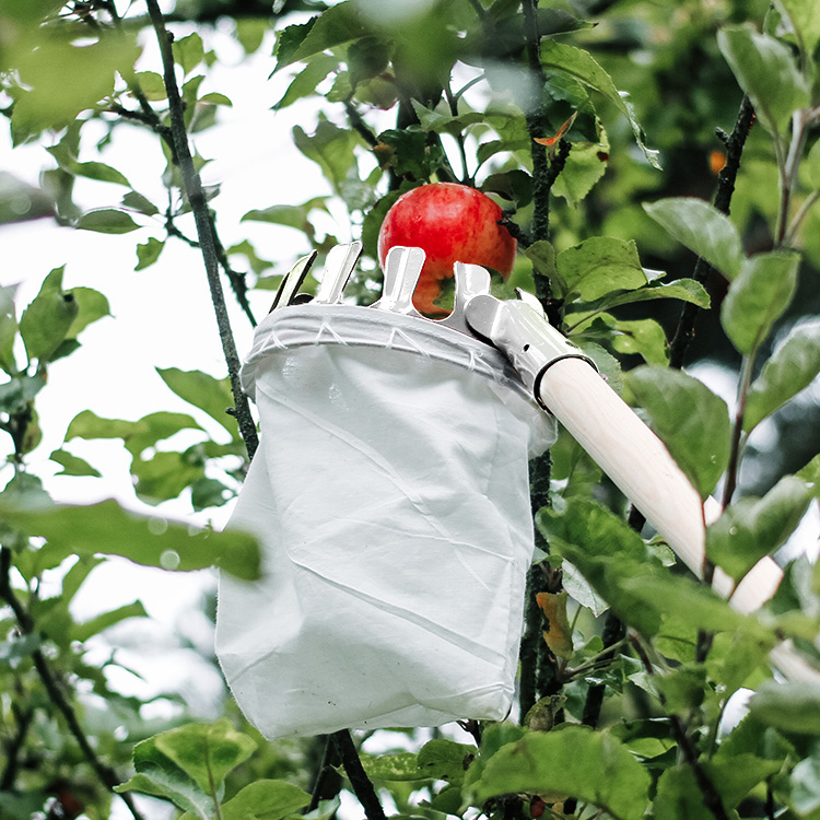Fruktplukker