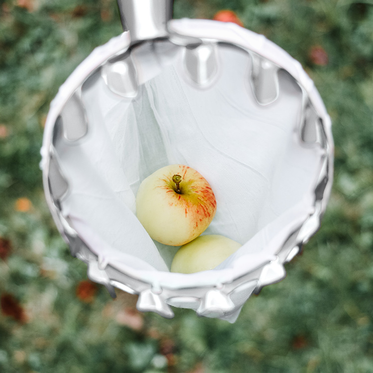 Fruktplukker