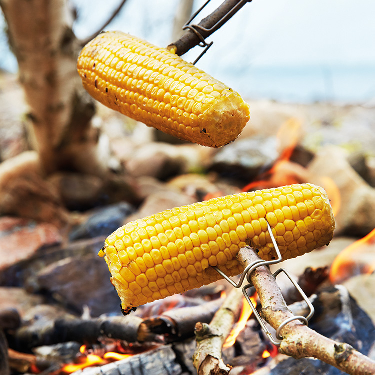 Grillgaffel til pinnen, 2-pakning