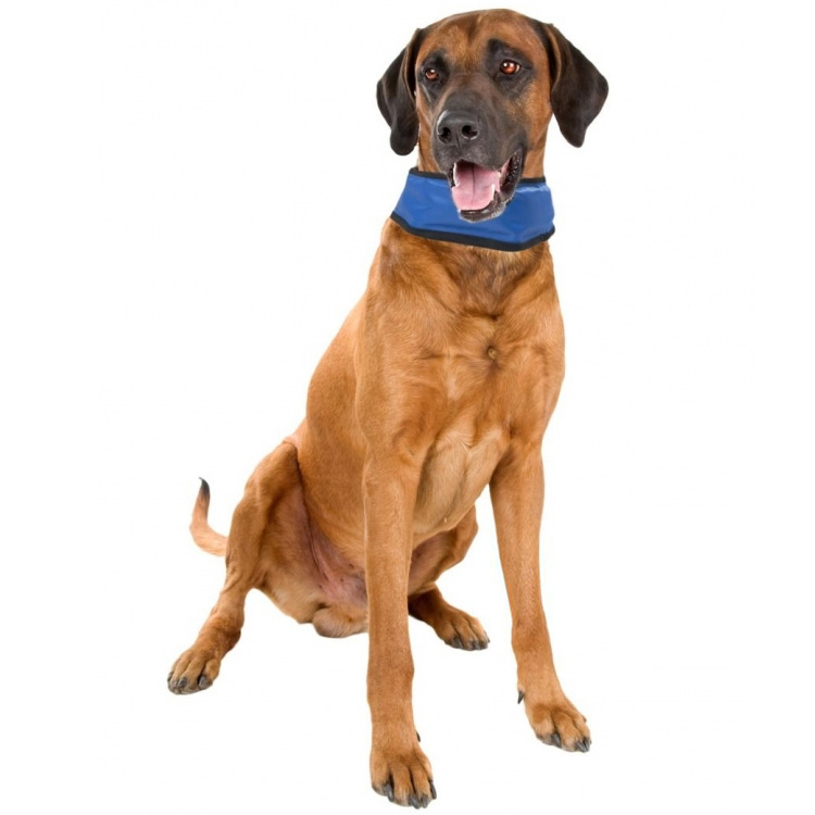 Avkjølende hundekrage