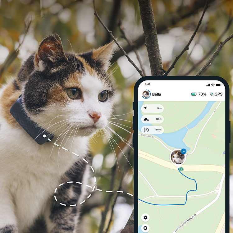 GPS til katt, Tractive