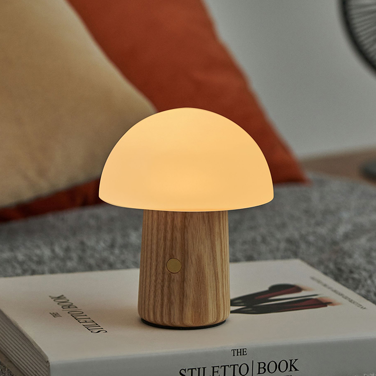 Oppladbar sopplampe