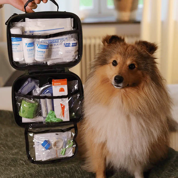 Førstehjelpsskrin for hund og katt, Bered