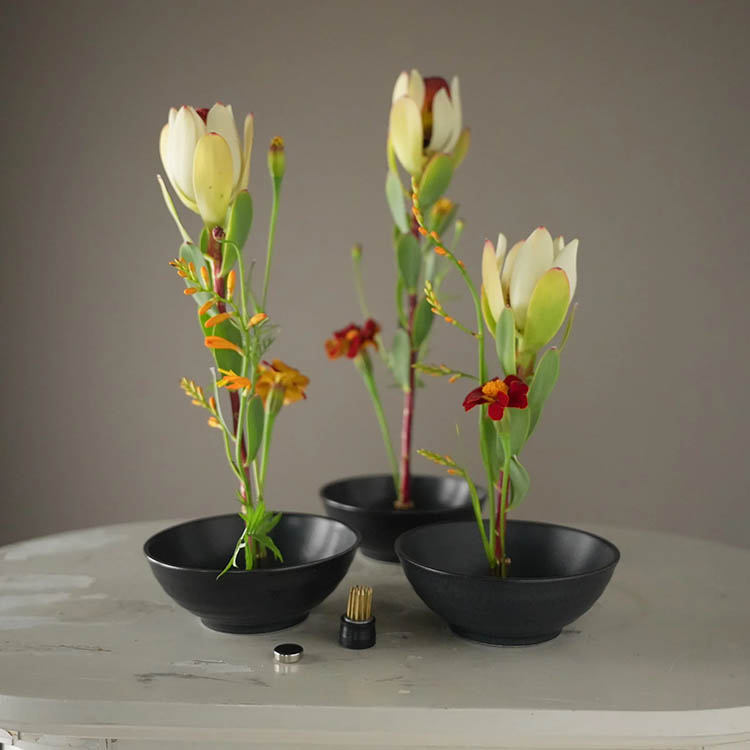 Magnetiske mini–blomsterfakirer 3-pakning